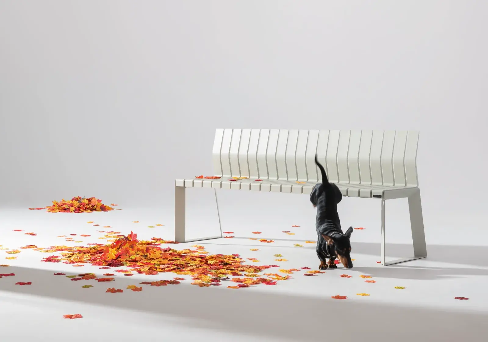 White Liberty.080 bench with autumn leaves